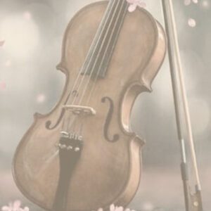 Cântico de Natal - Quarteto de Cordas - Willian Zingoni